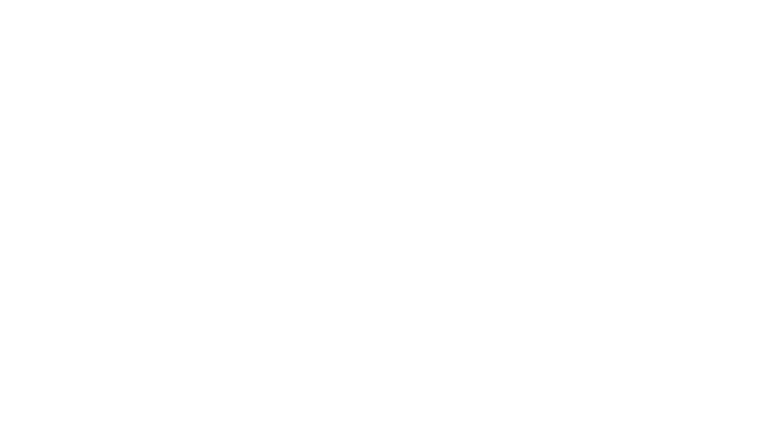 United Nations Human Rights